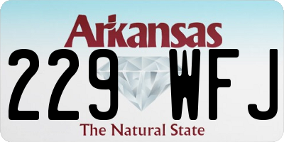 AR license plate 229WFJ