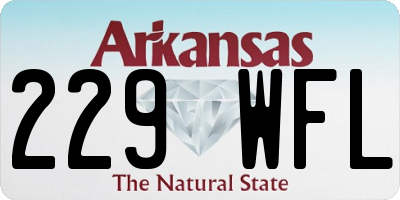 AR license plate 229WFL