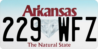 AR license plate 229WFZ