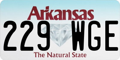 AR license plate 229WGE