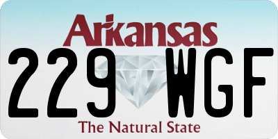 AR license plate 229WGF