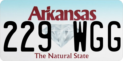 AR license plate 229WGG