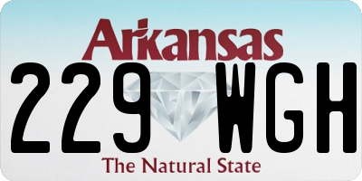 AR license plate 229WGH