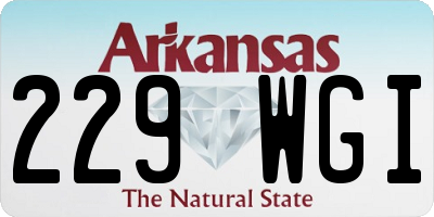 AR license plate 229WGI
