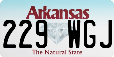 AR license plate 229WGJ