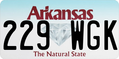 AR license plate 229WGK
