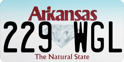 AR license plate 229WGL