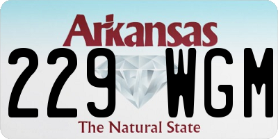 AR license plate 229WGM
