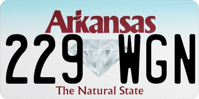 AR license plate 229WGN
