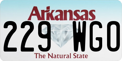 AR license plate 229WGO