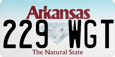AR license plate 229WGT