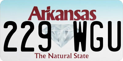 AR license plate 229WGU