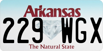 AR license plate 229WGX