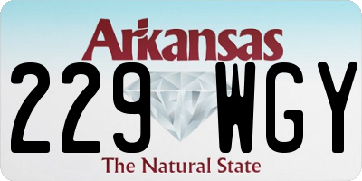 AR license plate 229WGY