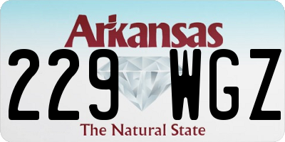 AR license plate 229WGZ