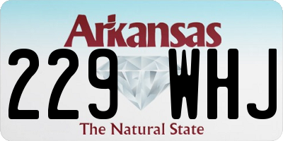 AR license plate 229WHJ
