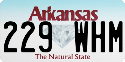 AR license plate 229WHM