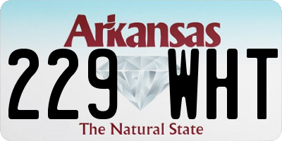 AR license plate 229WHT