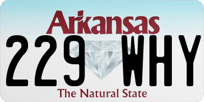 AR license plate 229WHY