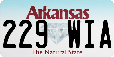 AR license plate 229WIA