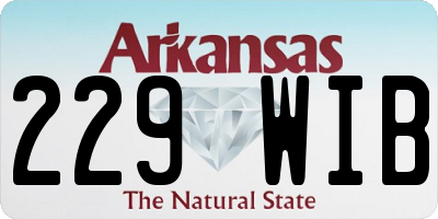 AR license plate 229WIB