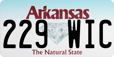 AR license plate 229WIC
