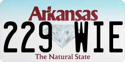 AR license plate 229WIE
