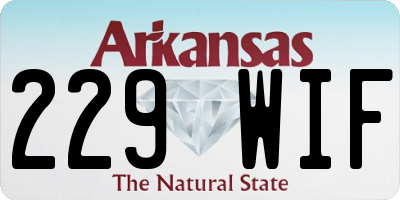 AR license plate 229WIF