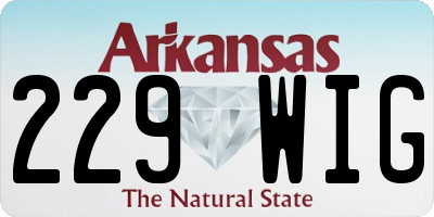 AR license plate 229WIG