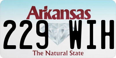 AR license plate 229WIH