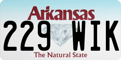 AR license plate 229WIK