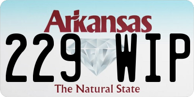 AR license plate 229WIP