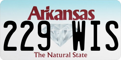 AR license plate 229WIS