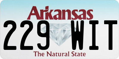 AR license plate 229WIT