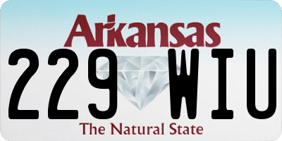 AR license plate 229WIU