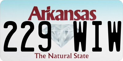AR license plate 229WIW