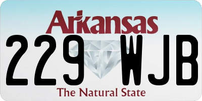 AR license plate 229WJB
