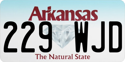 AR license plate 229WJD