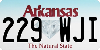 AR license plate 229WJI