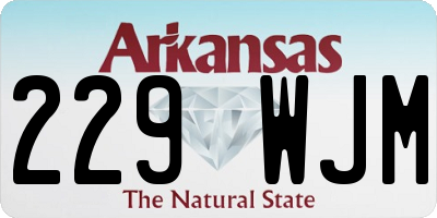AR license plate 229WJM