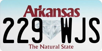 AR license plate 229WJS