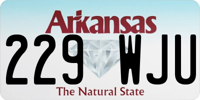 AR license plate 229WJU