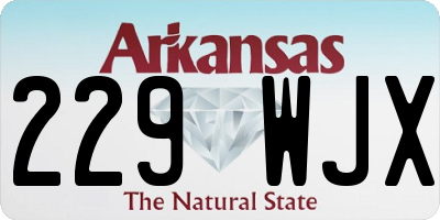 AR license plate 229WJX