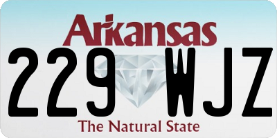 AR license plate 229WJZ