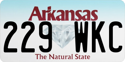 AR license plate 229WKC