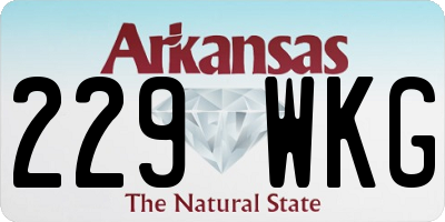 AR license plate 229WKG
