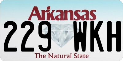 AR license plate 229WKH