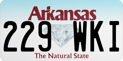 AR license plate 229WKI