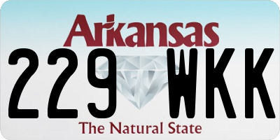 AR license plate 229WKK