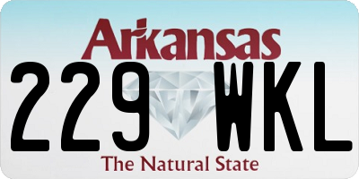 AR license plate 229WKL